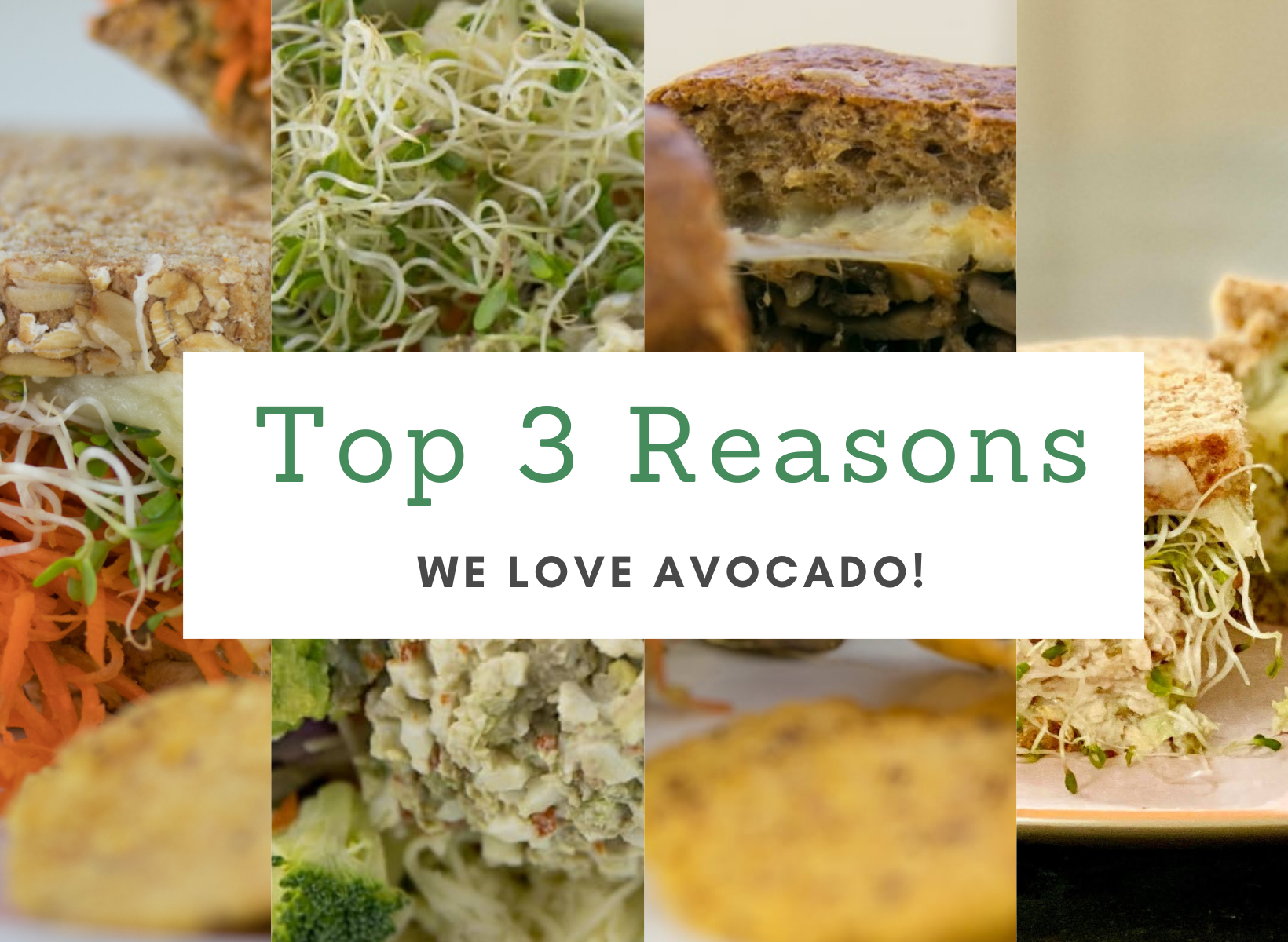 Top 3 Reasons We Love Avocado graphic over a plate of avocado toast
